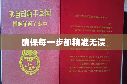 香洲确保每一步都精准无误