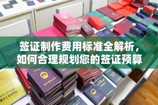 香洲签证制作费用标准全解析，如何合理规划您的签证预算？